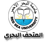 جامعة البحر الاحمر - المتحف البحري